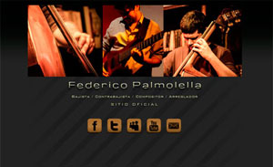 Federico Palmolella - Bajista Profesional